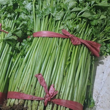 玻璃脆芹菜