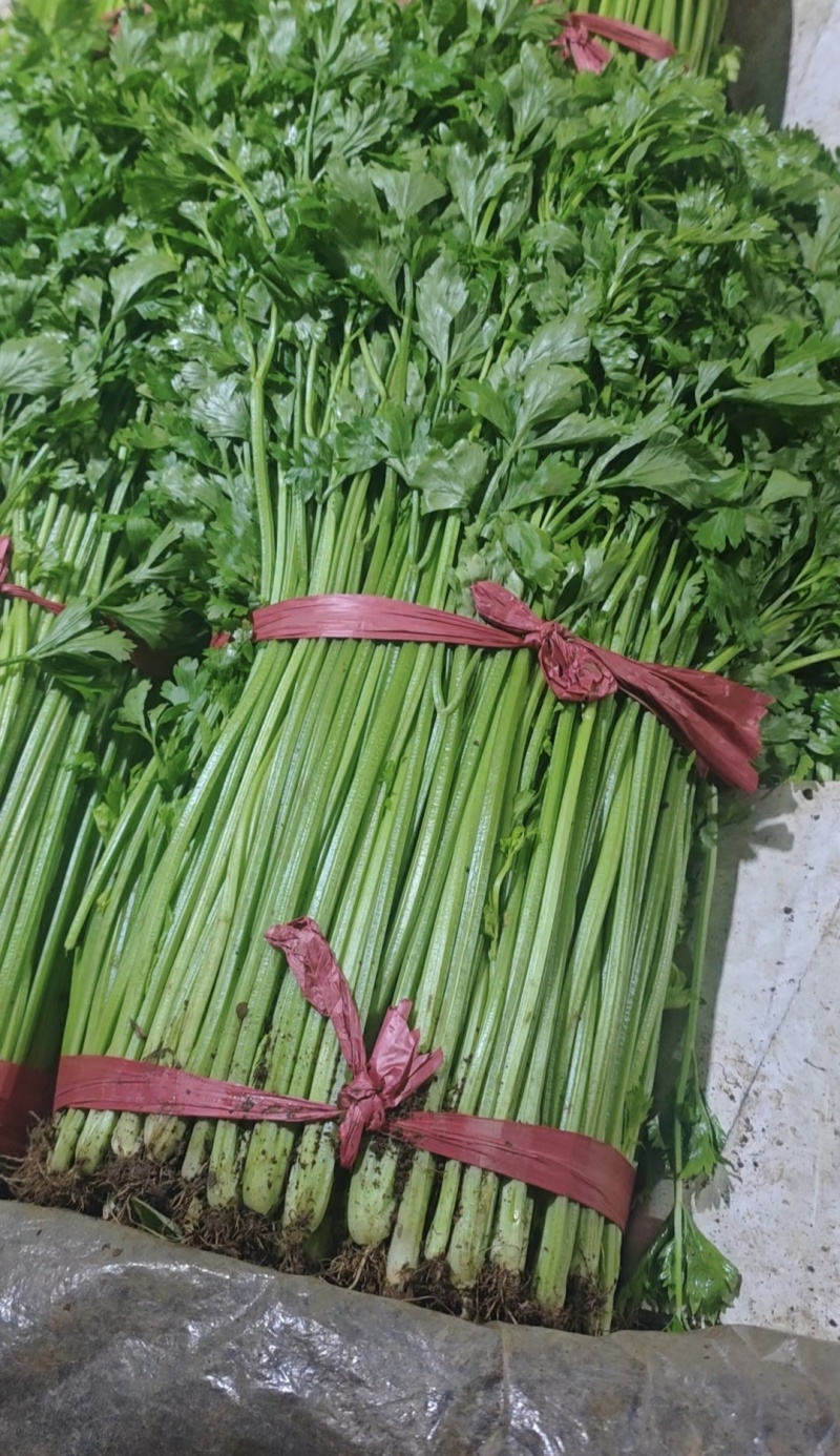 玻璃脆芹菜