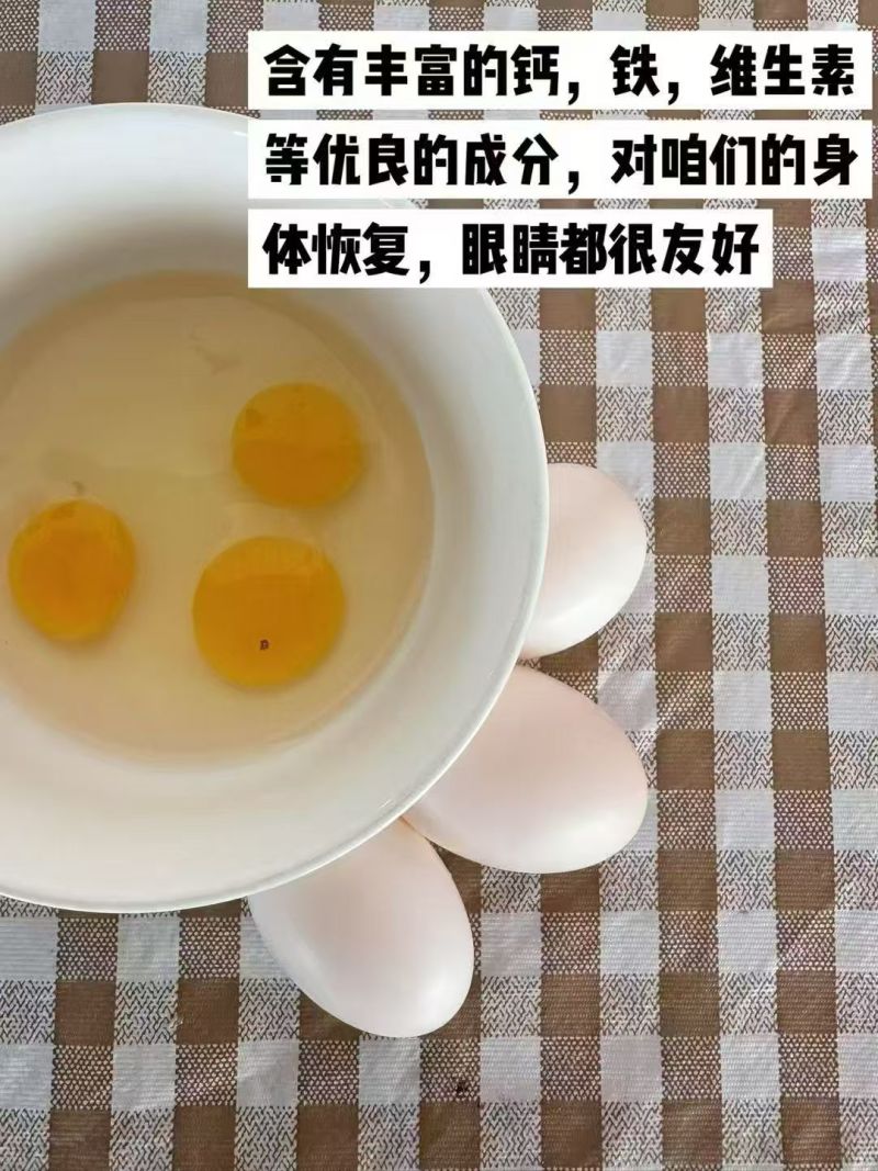 【鸽子蛋】精选鸽子蛋/对接江浙沪客商/价格便宜产地直发