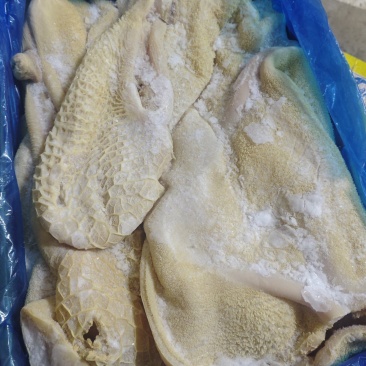牛肚精修去油7成熟左右