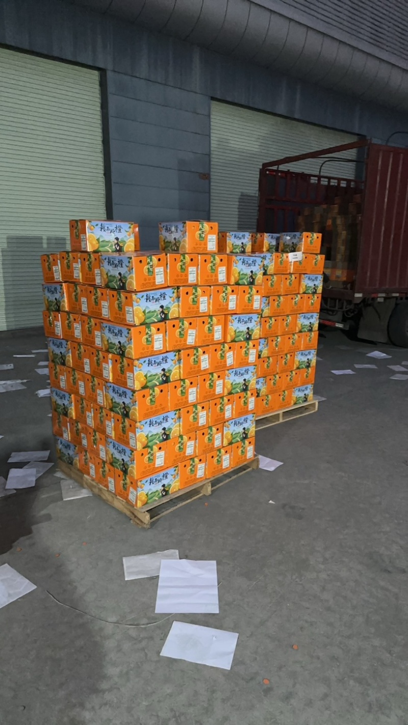 赣南脐橙大量上市欢迎各位老板前来选购品质保证产地直发