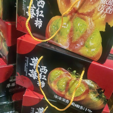 草莓柿子，七分甜，三分酸，十分好吃，碱地铁皮，海阳特产！