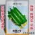 春润油靓2号丝瓜种子短棒油皮丝瓜种籽早熟深绿油亮丝瓜种子
