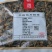 全蝎，清水通货，质优价廉无杂，可食药两用