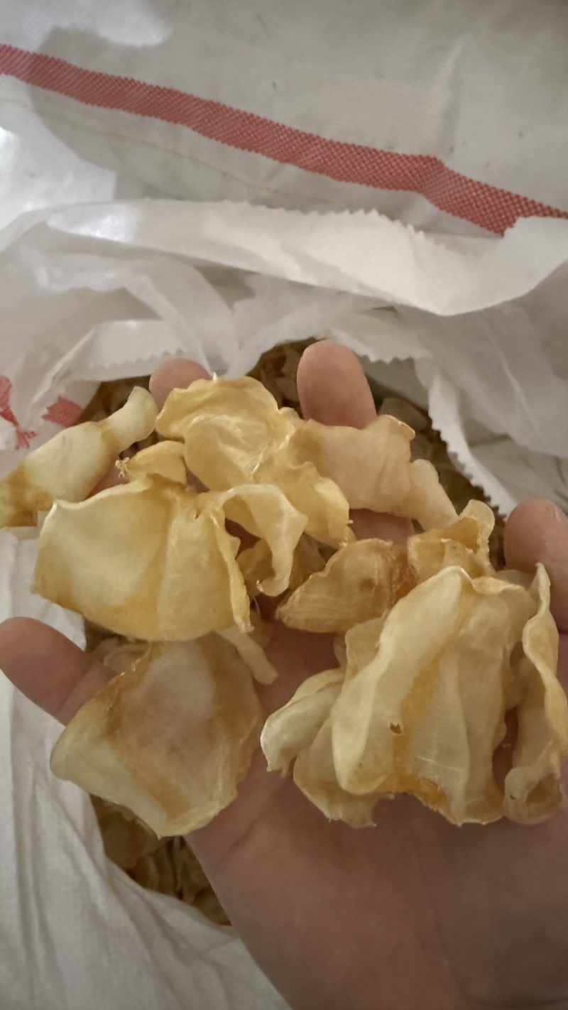 红鱼胶