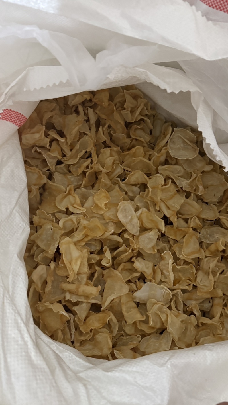 红鱼胶