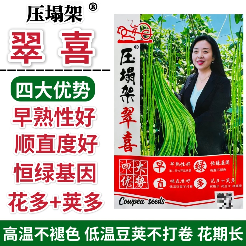 全能绿霸长豇豆种籽肉厚长青不鼓豆无鼠尾春秋播种长豇豆种籽