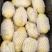 惠东新鲜大量供应，