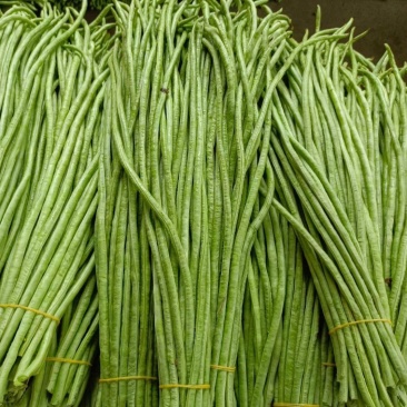 繁花似锦白籽白花翠绿豇豆种子长豆角种子肉质较厚耐老化春秋