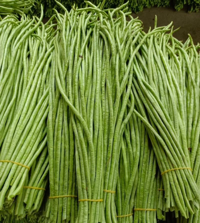 繁花似锦白籽白花翠绿豇豆种子长豆角种子肉质较厚耐老化春秋
