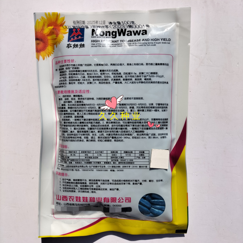 农娃娃大青花食用向日葵种子杂交种大粒香葵种籽早熟春夏播种