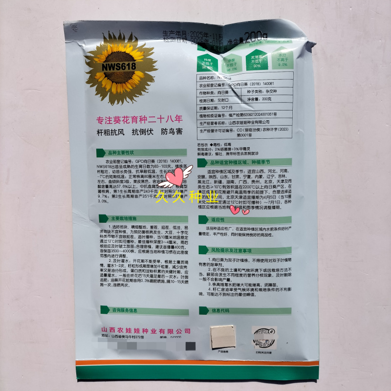 NWS618法兰西超级矮大头向日葵种子矮杆抗倒伏油葵种籽