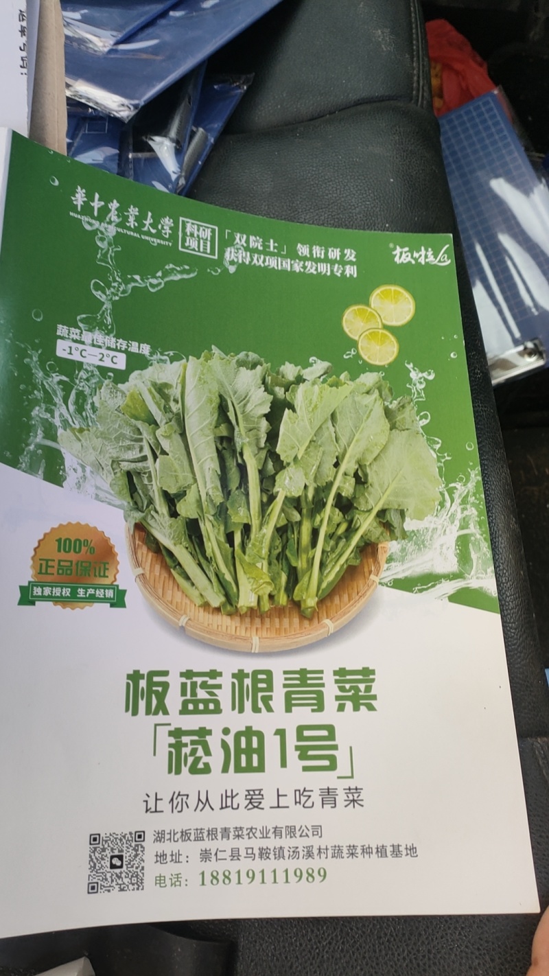 板蓝根青菜