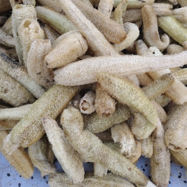 丝瓜络