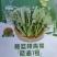 板蓝根青菜