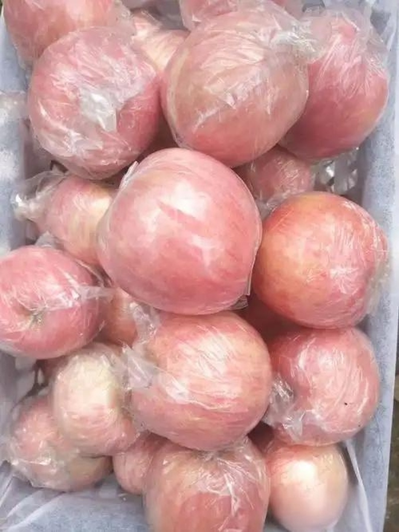 河南本地纸加膜红富士苹果/量大从优/产地直发/诚信经营