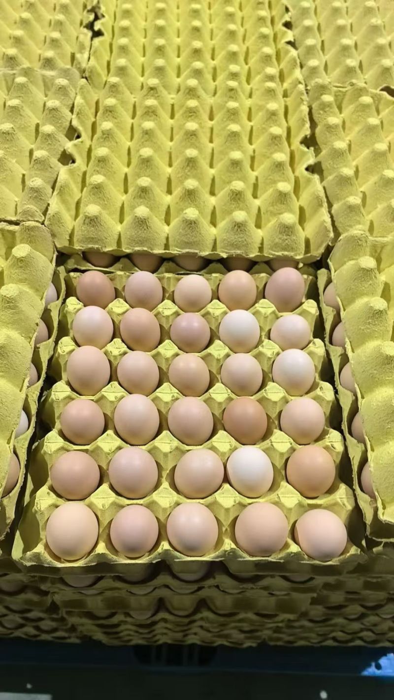 每天都在全国发货精品（每天3000件）