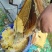 从化高山荔枝蜂蜜