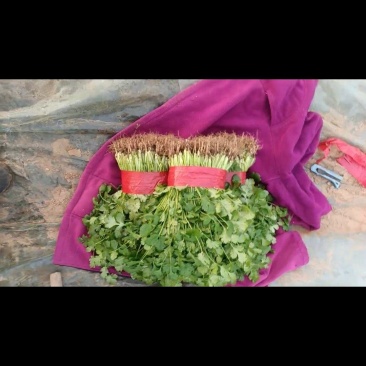 各种蔬菜农户直销，家里都是大棚行业的