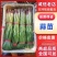 山东精品蒜苗红根白根规格齐全对接全国品质好欢迎订购
