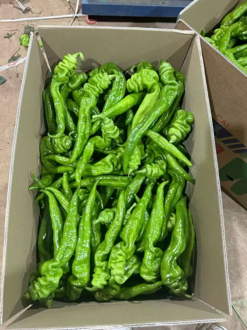 螺丝椒