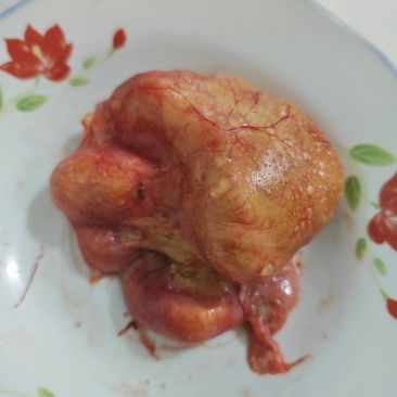 鸡宝400克有意者价格可聊