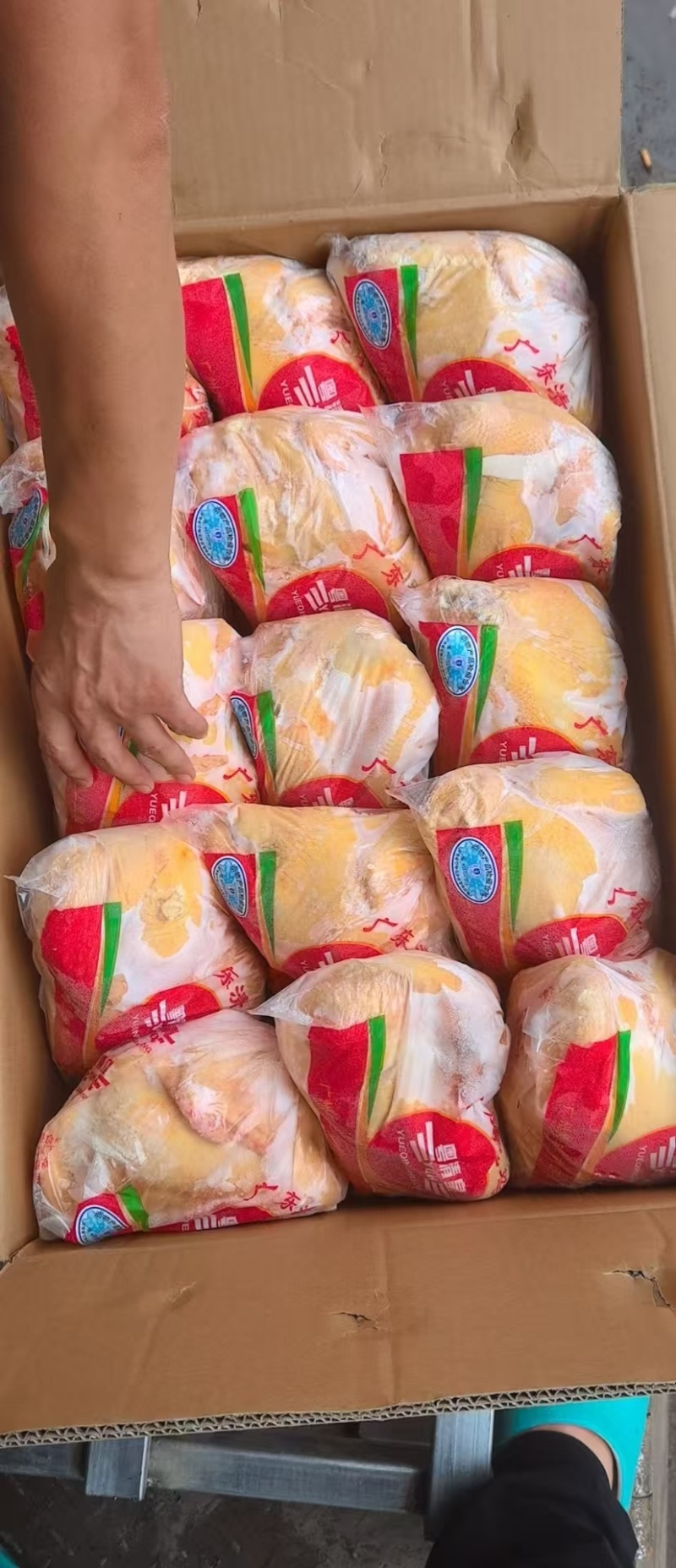 出售现杀清远鸡量大从优厂家直销