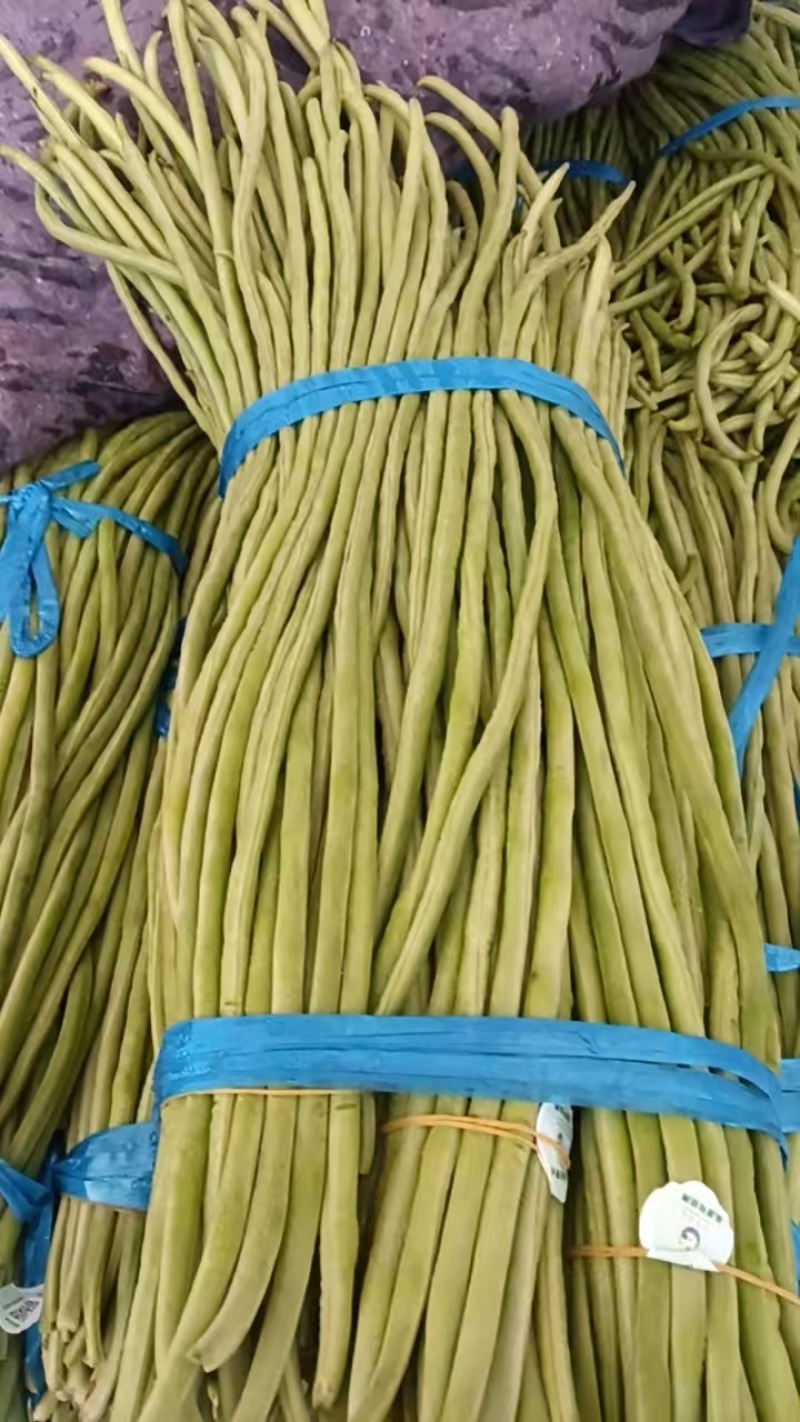 青条豆角鲜嫩翠绿肉质紧实耐储运品质保证欢迎咨询