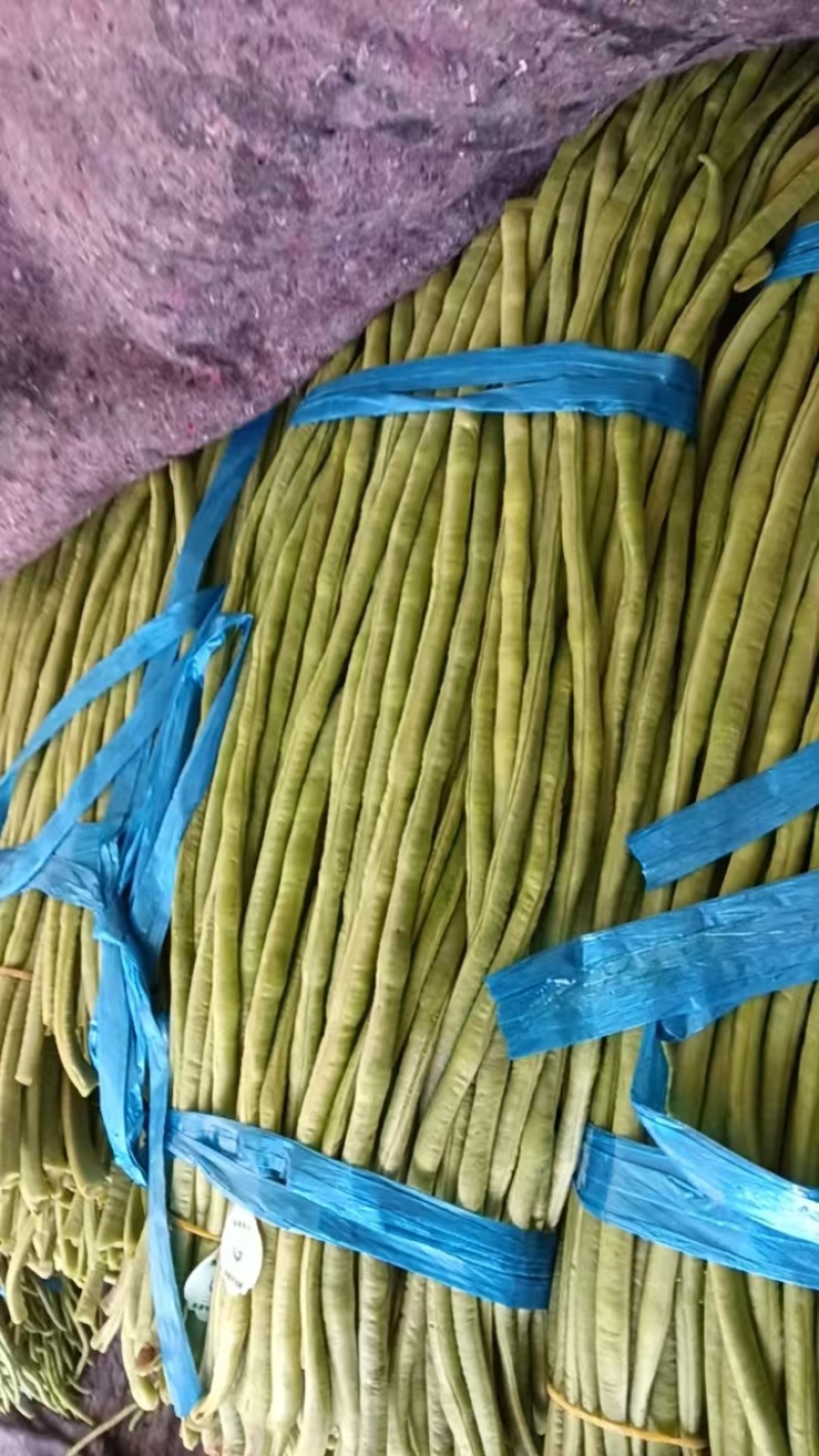 青条豆角鲜嫩翠绿肉质紧实耐储运品质保证欢迎咨询
