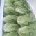 新鲜采摘意大利生菜脆嫩爽口货源充足欢迎来电咨询