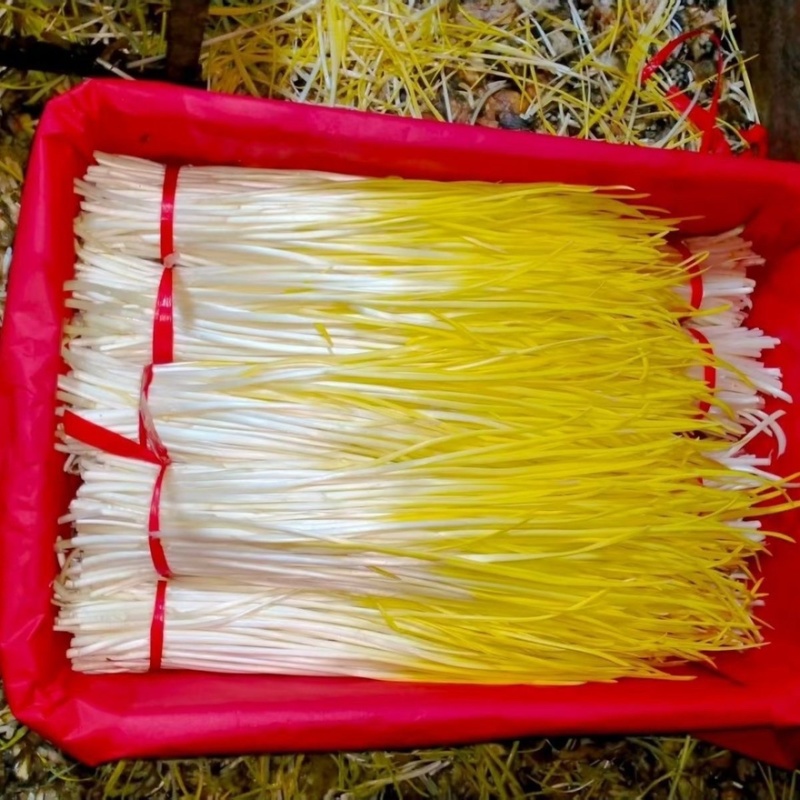 山东产地精品蒜黄大量上市对接各大电商市场