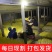 山东产地精品蒜黄大量上市对接各大电商市场