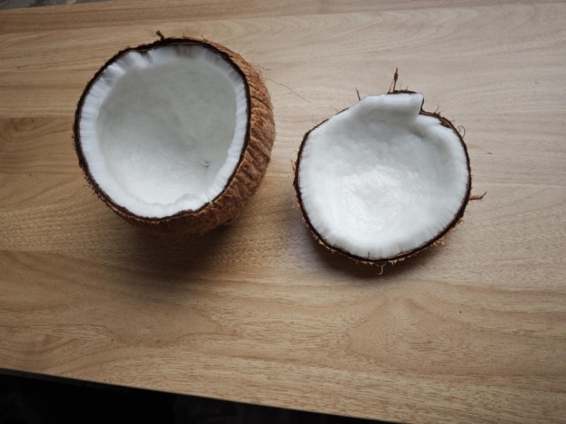 海南老椰子，越南老椰子，精挑果，***毛椰子基地供应。