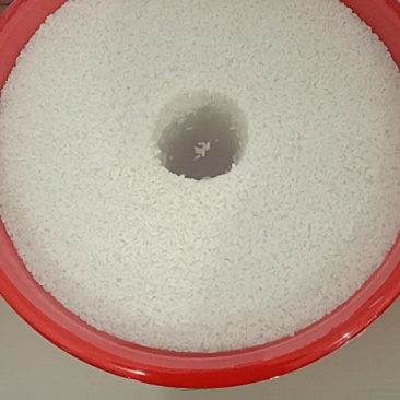 米糟：甜酒酿