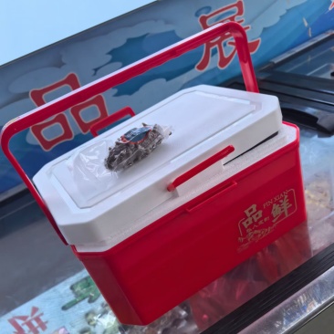 海参海参礼盒装即食海参辽参电商年货礼包