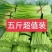 当季鲜蒜苔红帽蒜苔大量现货一件代发