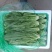 新鲜油麦菜当日现割清香脆嫩质量保证货源充足