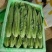 新鲜油麦菜当日现割清香脆嫩质量保证货源充足