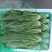 新鲜油麦菜当日现割清香脆嫩质量保证货源充足