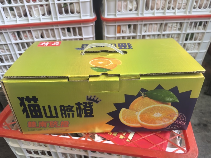 赣南脐橙礼盒