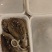 新鲜墨鱼无冰一斤装电商团购年货