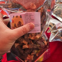 六妹羊肚菌干货，量大稳定出