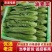 新鲜油麦菜当日现割清香脆嫩质量保证货源充足