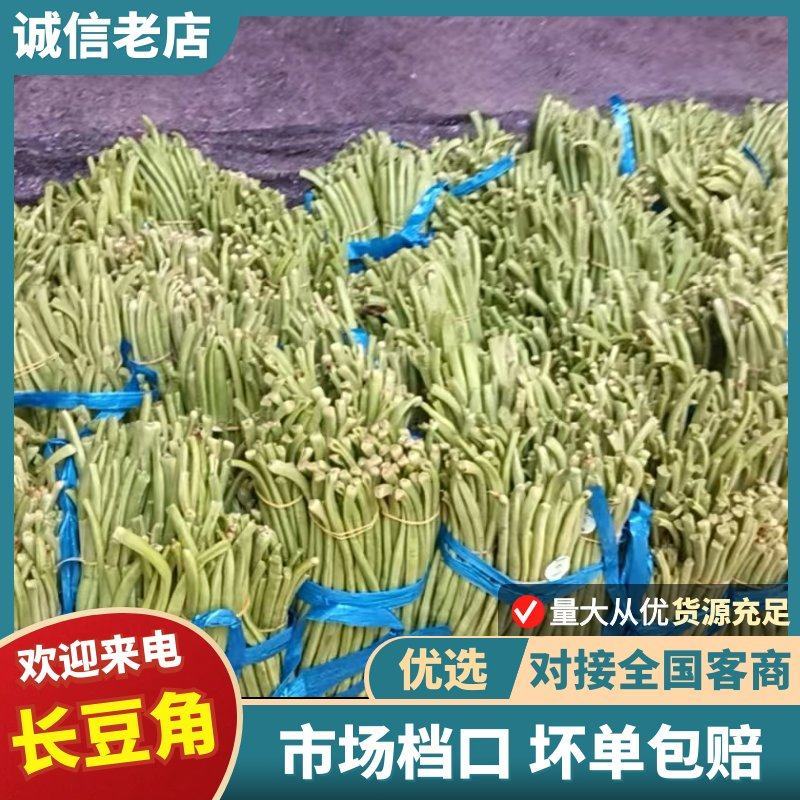 青条豆角鲜嫩翠绿肉质紧实耐储运品质保证欢迎咨询