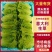 新鲜采摘意大利生菜脆嫩爽口货源充足欢迎来电咨询