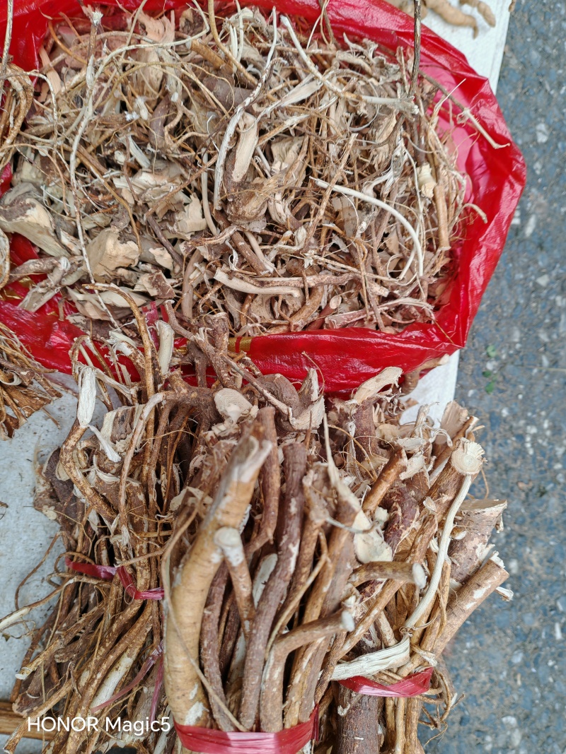 广东野生五指毛桃