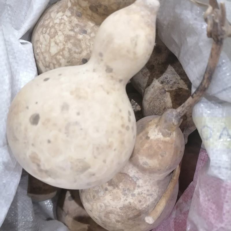 葫芦