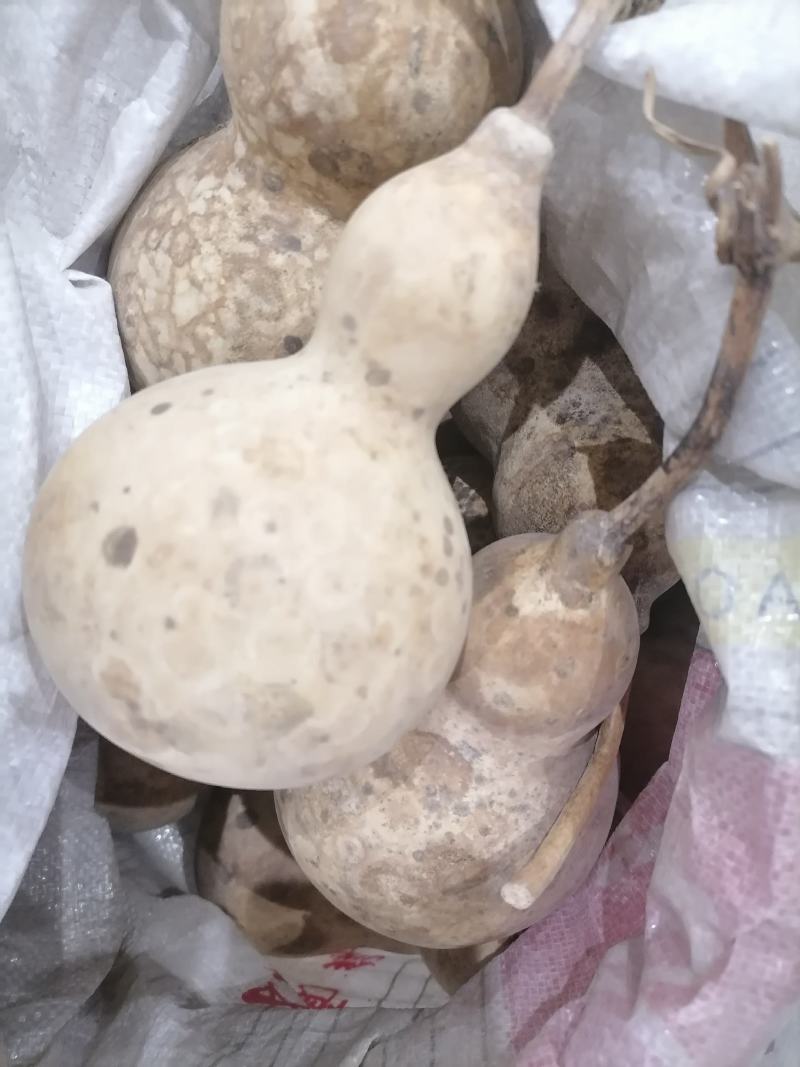 葫芦