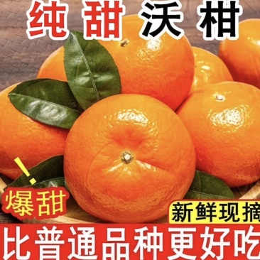 广西沃柑