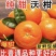 广西沃柑